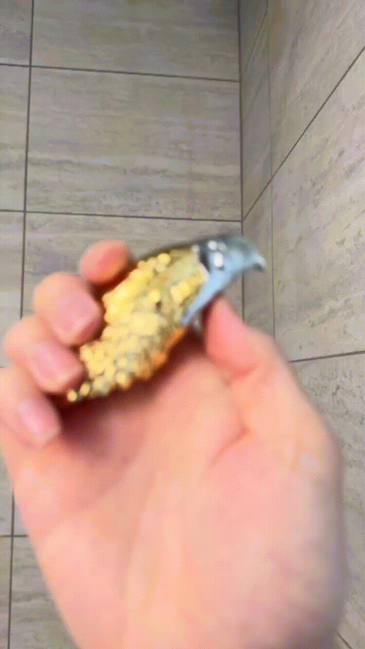 Eagle Lighter